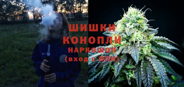 трава Новозыбков