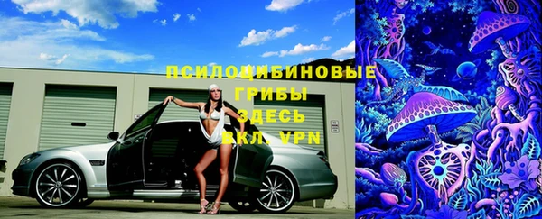 PSILOCYBIN Няндома