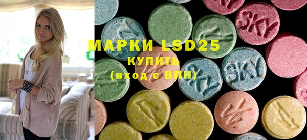 PSILOCYBIN Няндома