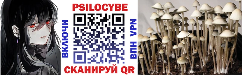 Галлюциногенные грибы MAGIC MUSHROOMS  купить  цена  Ковылкино 